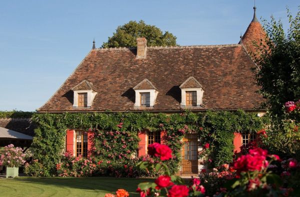 Sale Property Toucy 20 Rooms 1600 m²