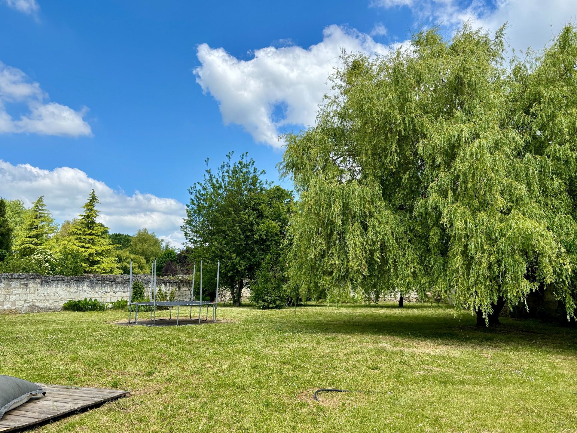 house 10 Rooms for sale on BEAULIEU LES LOCHES (37600)