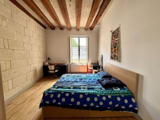 house 10 Rooms for sale on BEAULIEU LES LOCHES (37600)