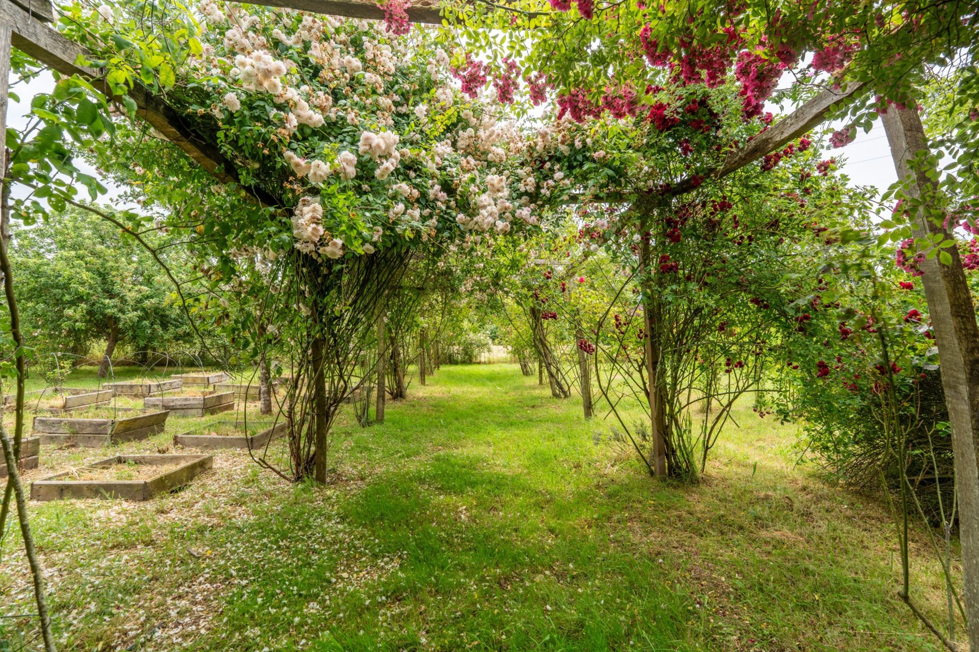 house 7 Rooms for sale on ESVES LE MOUTIER (37240)