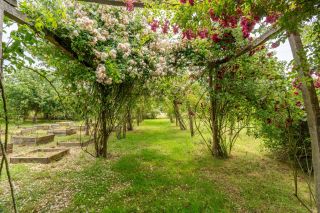 house 7 Rooms for sale on ESVES LE MOUTIER (37240)