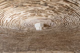 house 7 Rooms for sale on ESVES LE MOUTIER (37240)