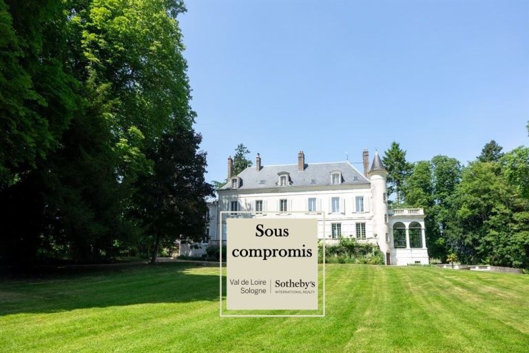 château 10 Pièces en vente sur MEUNG SUR LOIRE (45130)