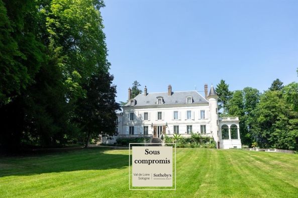 Vente Château Meung-sur-Loire 10 Pièces 650 m²