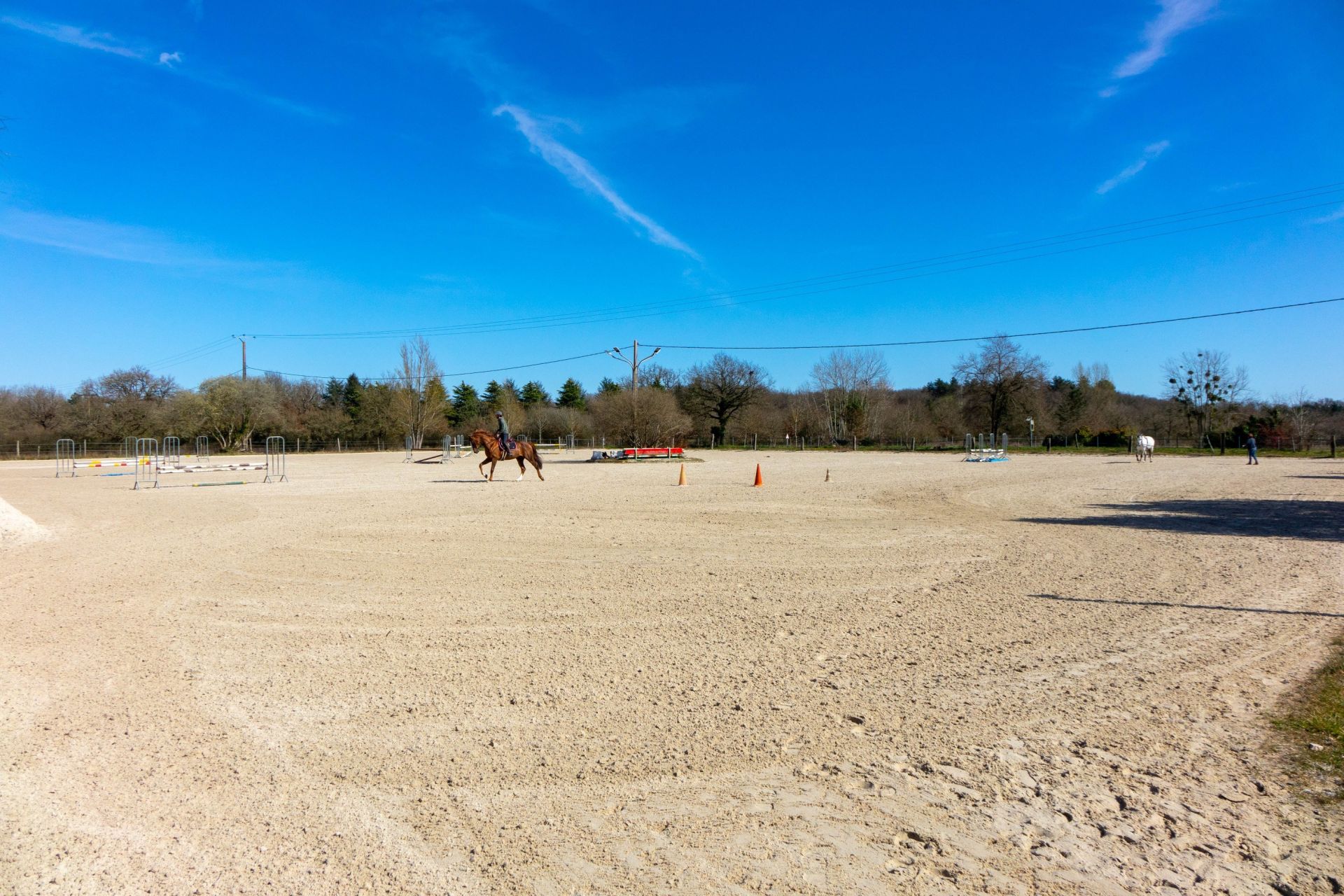 equestrian property 7 Rooms for sale on ARDON (45160)