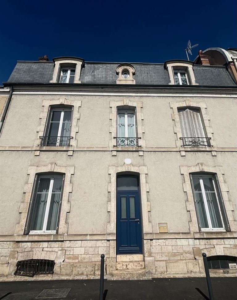 house 10 Rooms for sale on ORLEANS (45000)