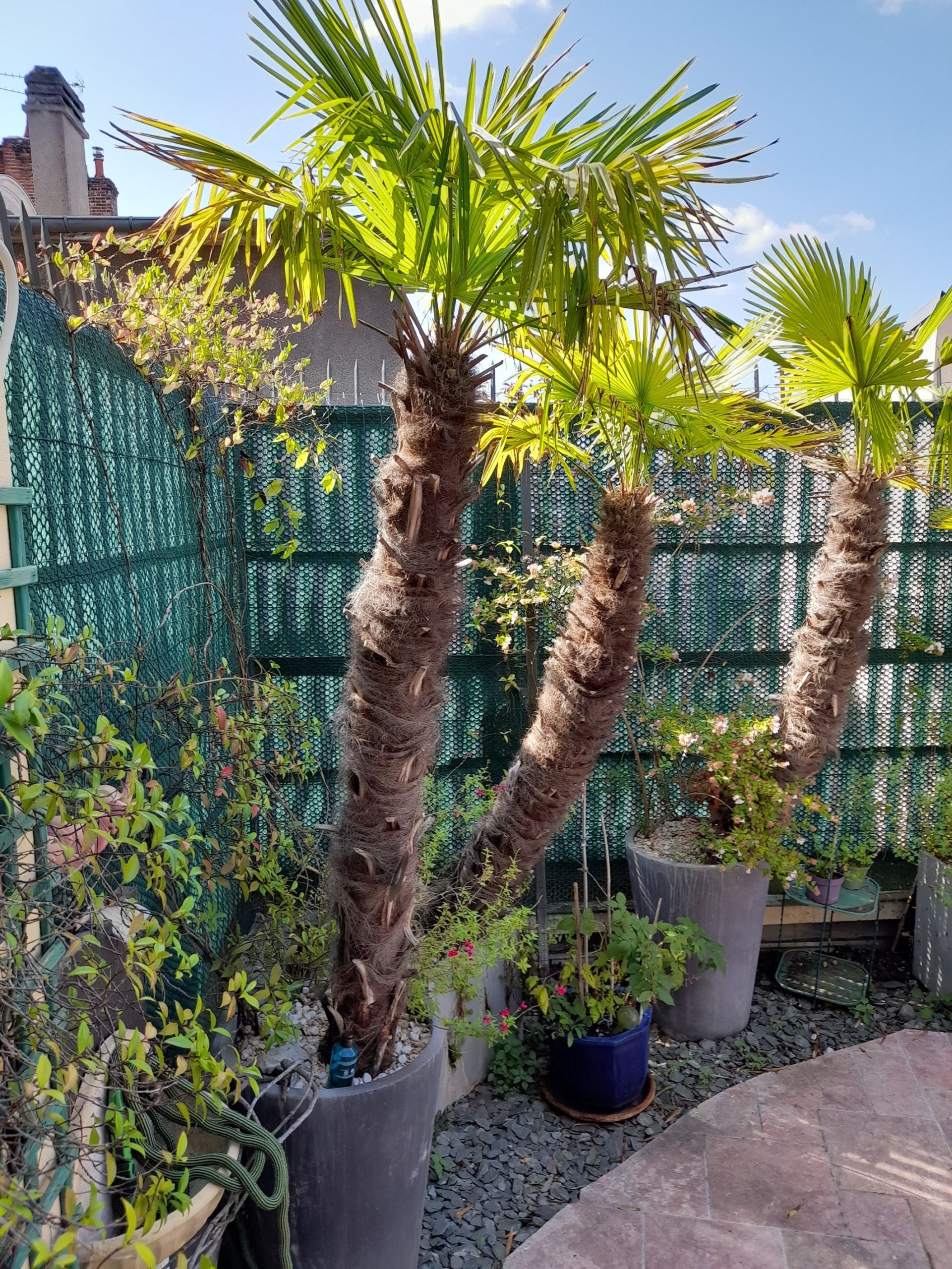 appartement 4 Pièces en vente sur ORLEANS (45000)