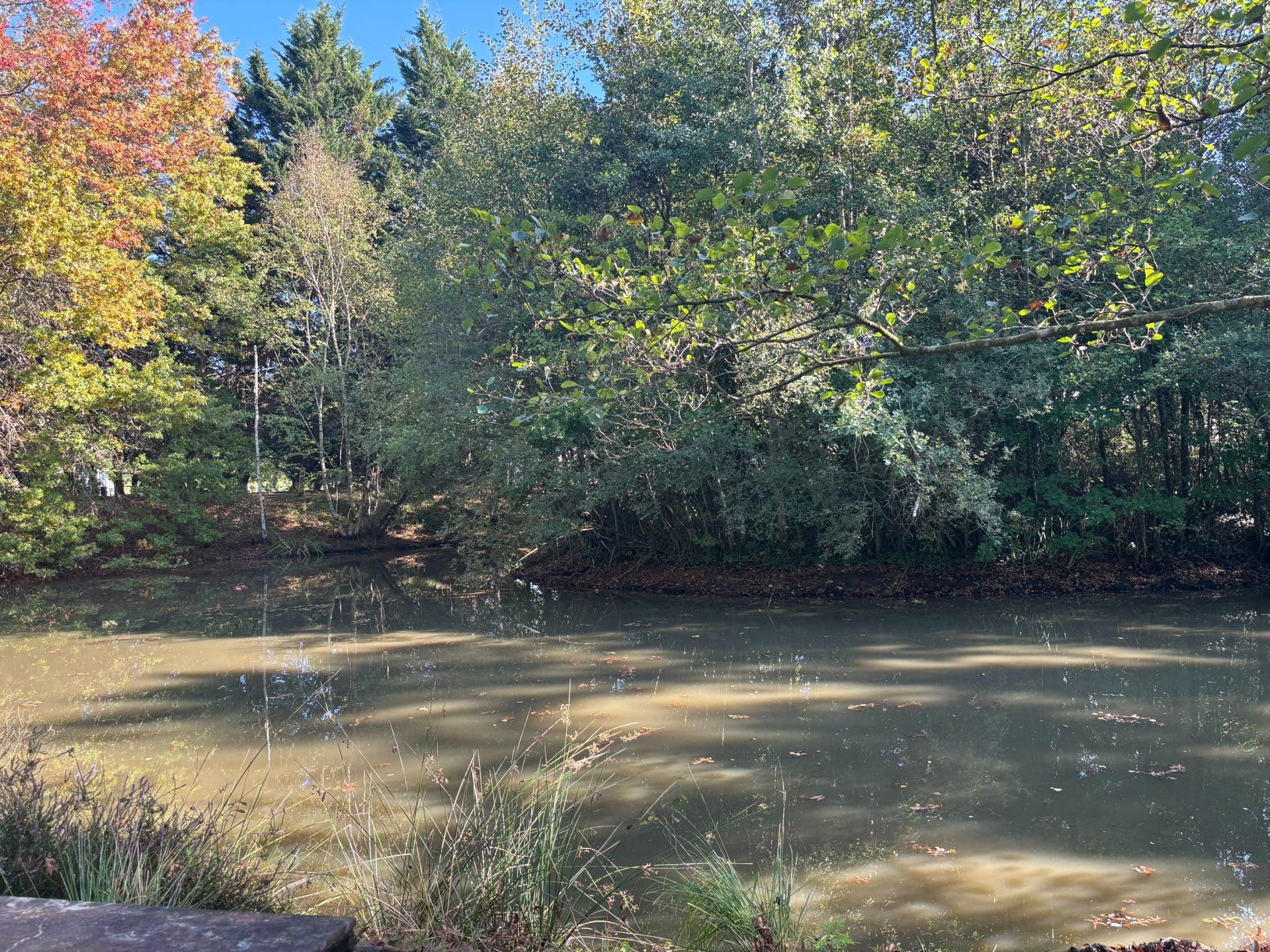 house 9 Rooms for sale on ST VIATRE (41210)