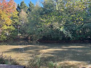 house 9 Rooms for sale on ST VIATRE (41210)