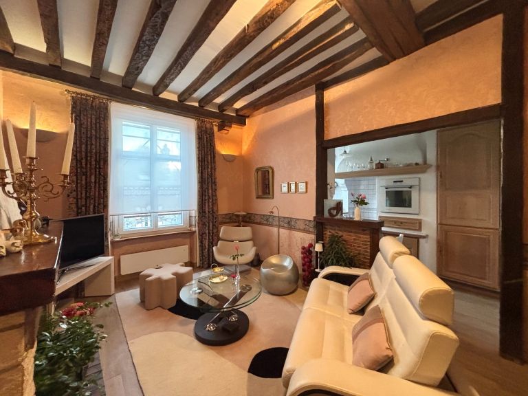 apartment 3 Rooms for sale on ORLEANS (45000)