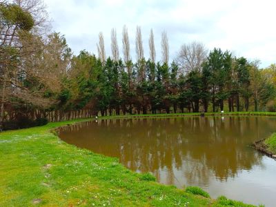 house 10 Rooms for sale on LA FERTE ST CYR (41220) Sale House La Ferté-Saint-Cyr 10 Rooms 343 m²