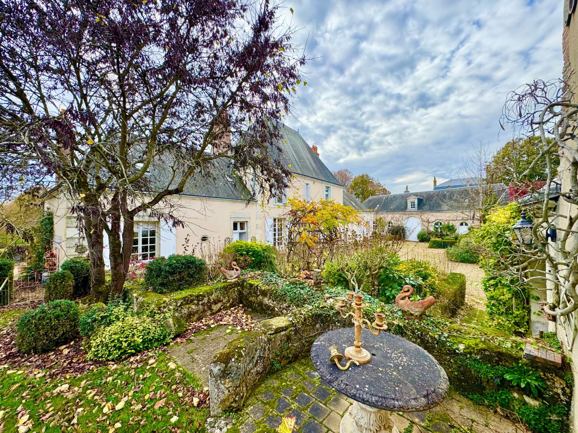 house 11 Rooms for sale on NEUILLE PONT PIERRE (37360)