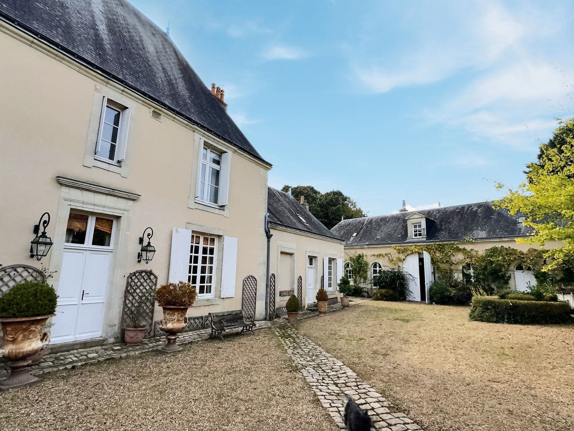 house 11 Rooms for sale on NEUILLE PONT PIERRE (37360)