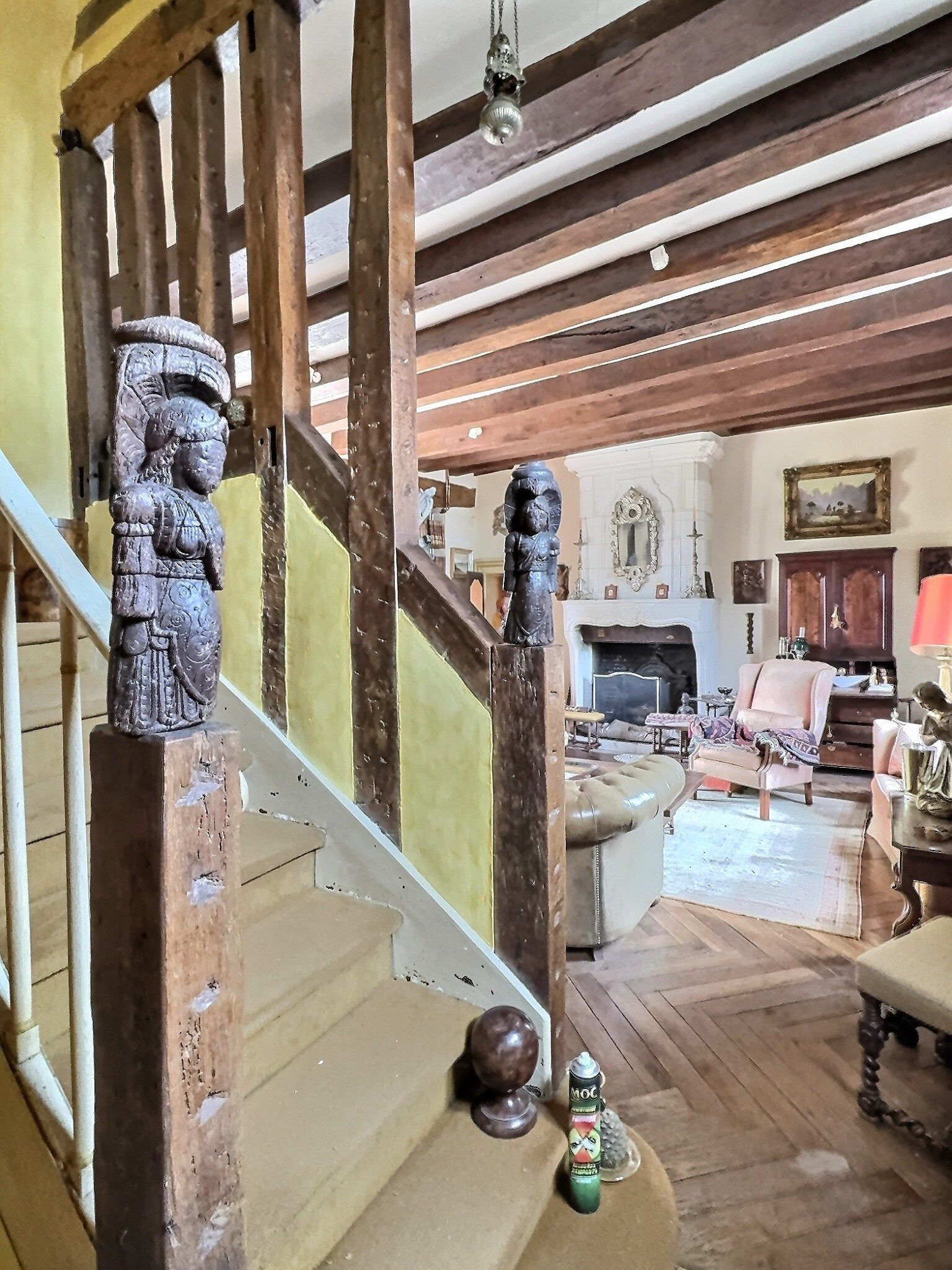 house 11 Rooms for sale on NEUILLE PONT PIERRE (37360)