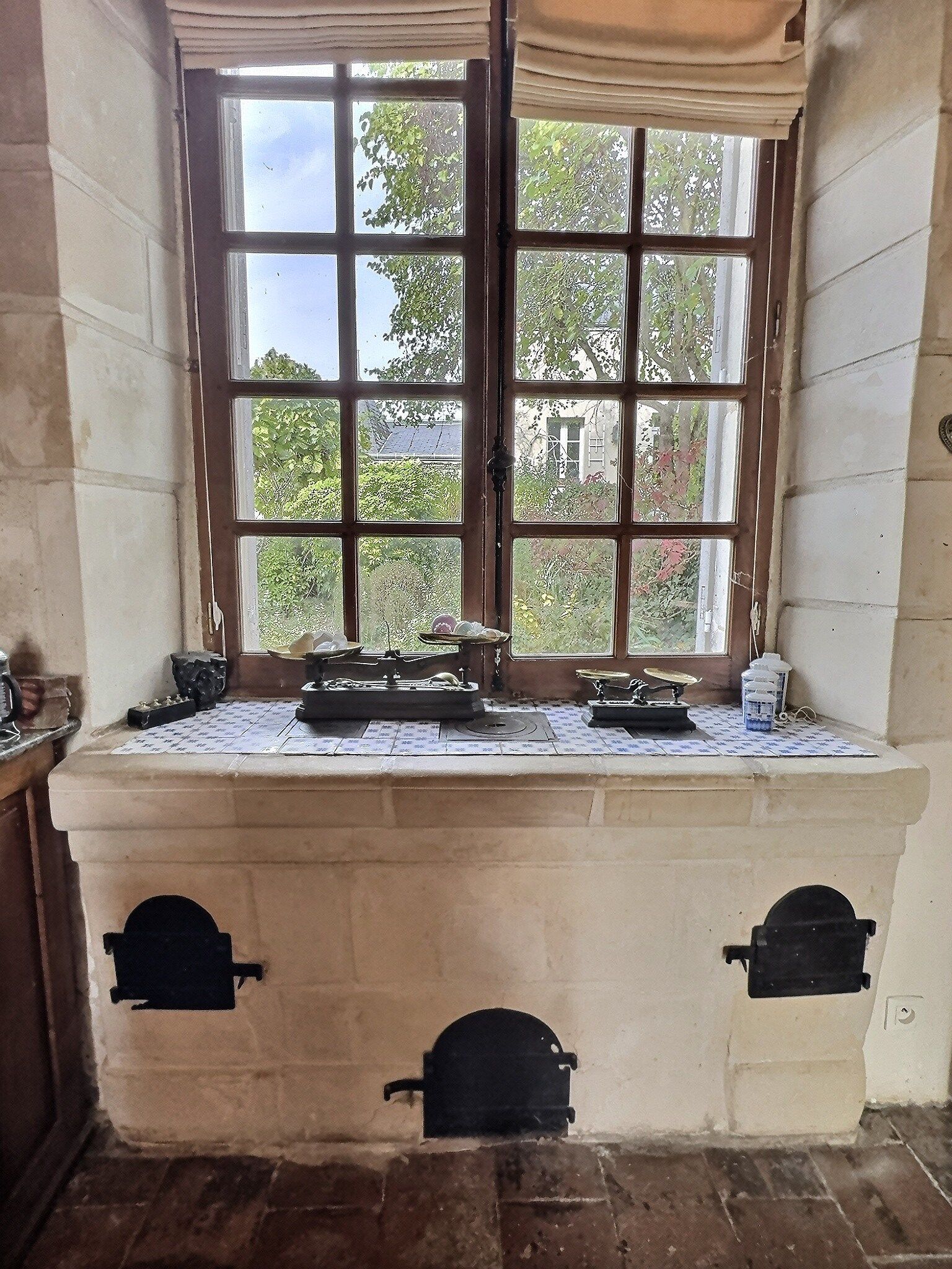 house 11 Rooms for sale on NEUILLE PONT PIERRE (37360)