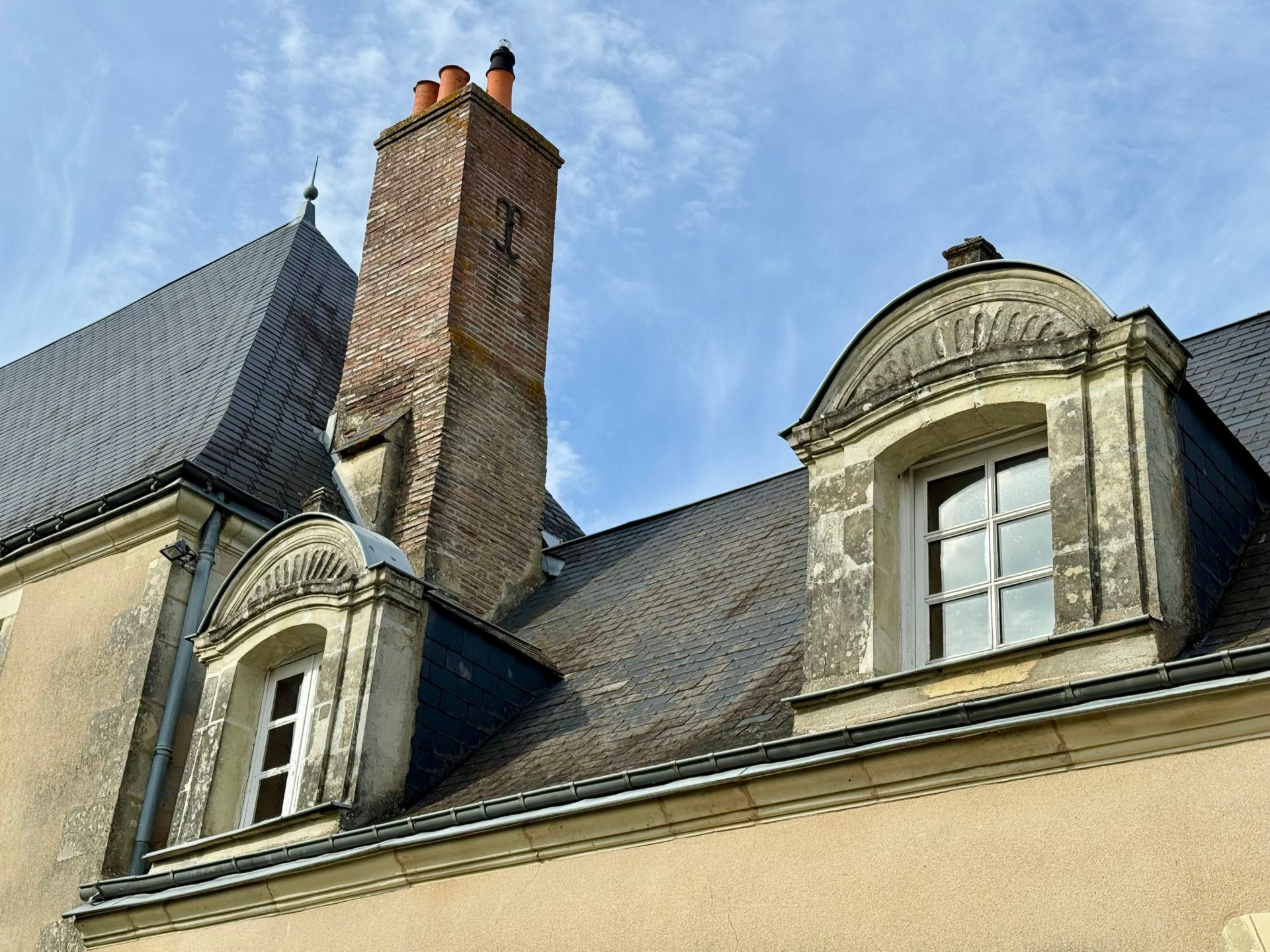 house 11 Rooms for sale on NEUILLE PONT PIERRE (37360)