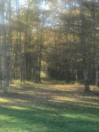 maison 8 Pièces en vente sur YVOY LE MARRON (41600)