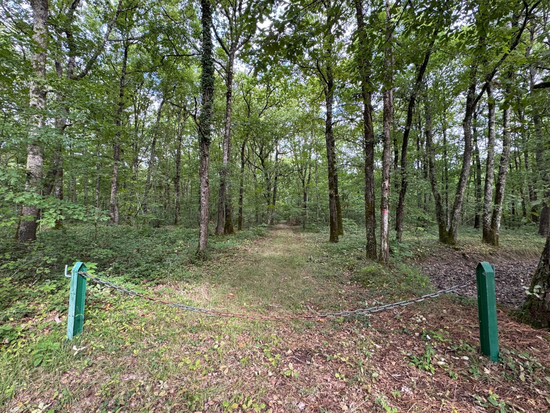 house 7 Rooms for sale on AMBOISE (37400)