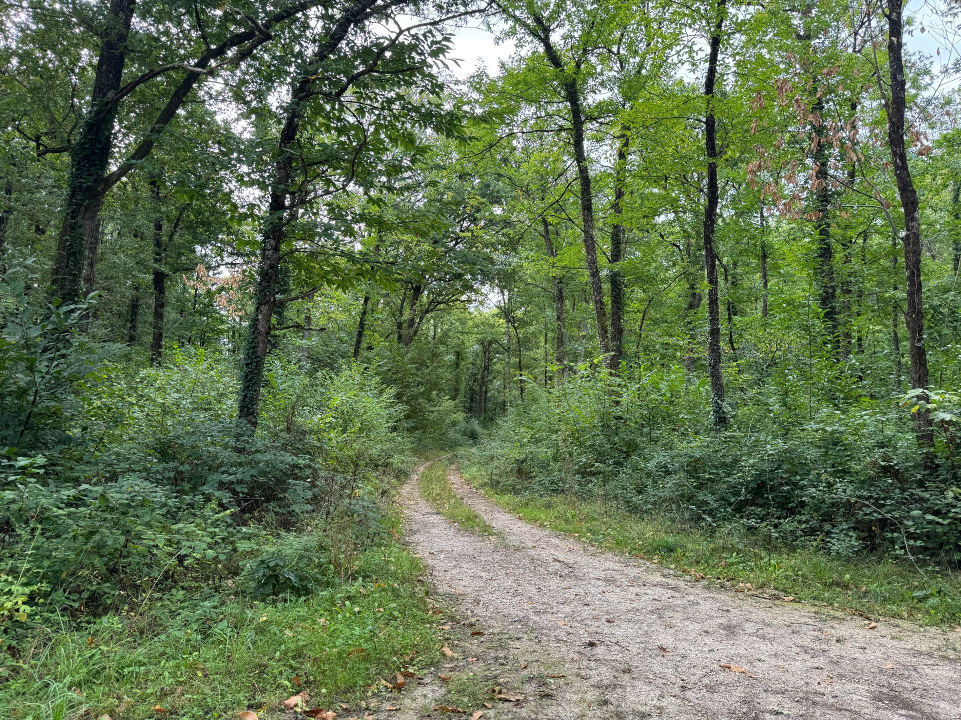 house 7 Rooms for sale on AMBOISE (37400)