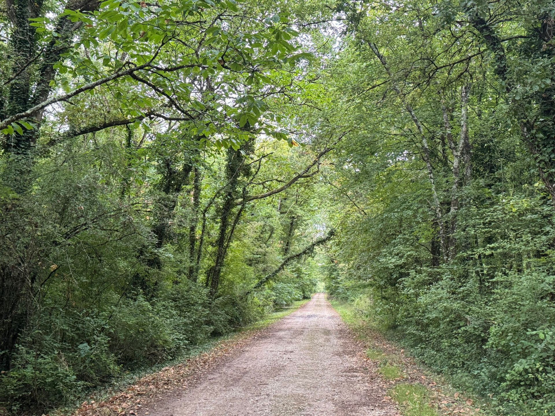 house 7 Rooms for sale on AMBOISE (37400)