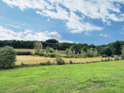 Sale House Amboise 7&nbsp;Rooms 330&nbsp;m²