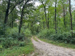 house 7 Rooms for sale on AMBOISE (37400)