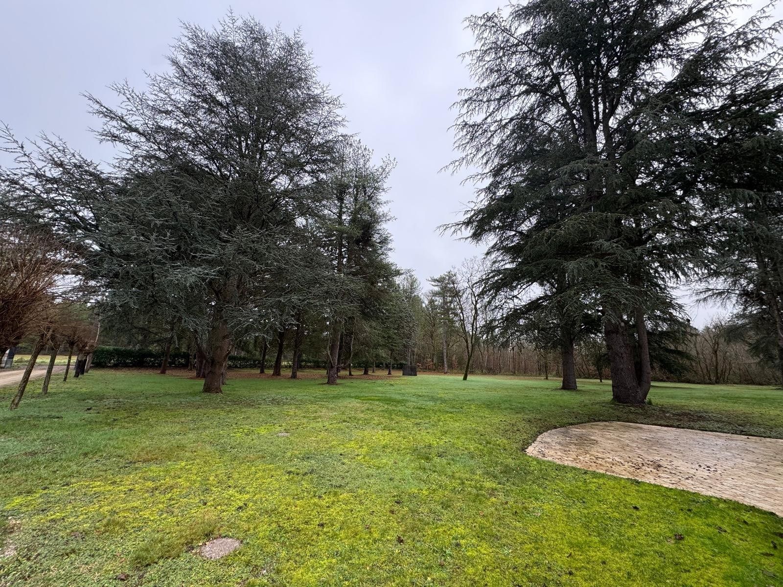 house 7 Rooms for sale on DHUIZON (41220)