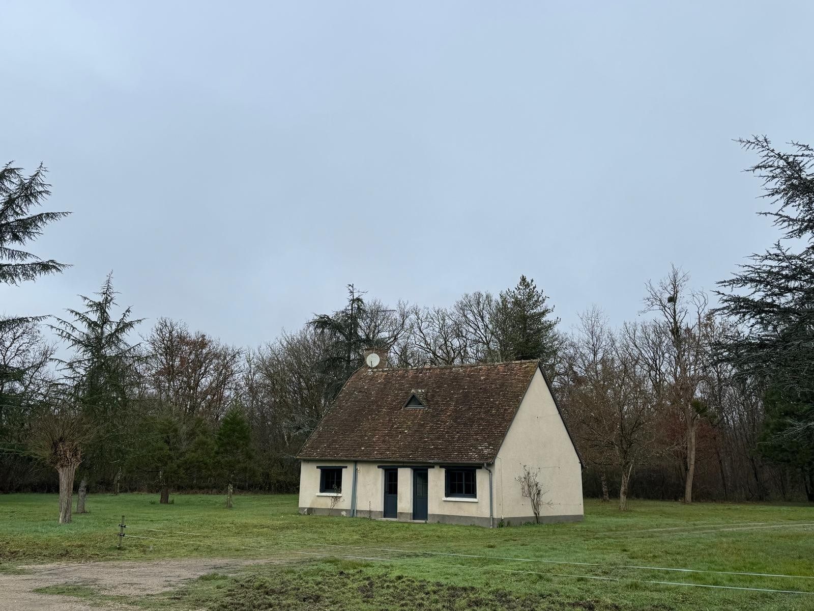 house 7 Rooms for sale on DHUIZON (41220)