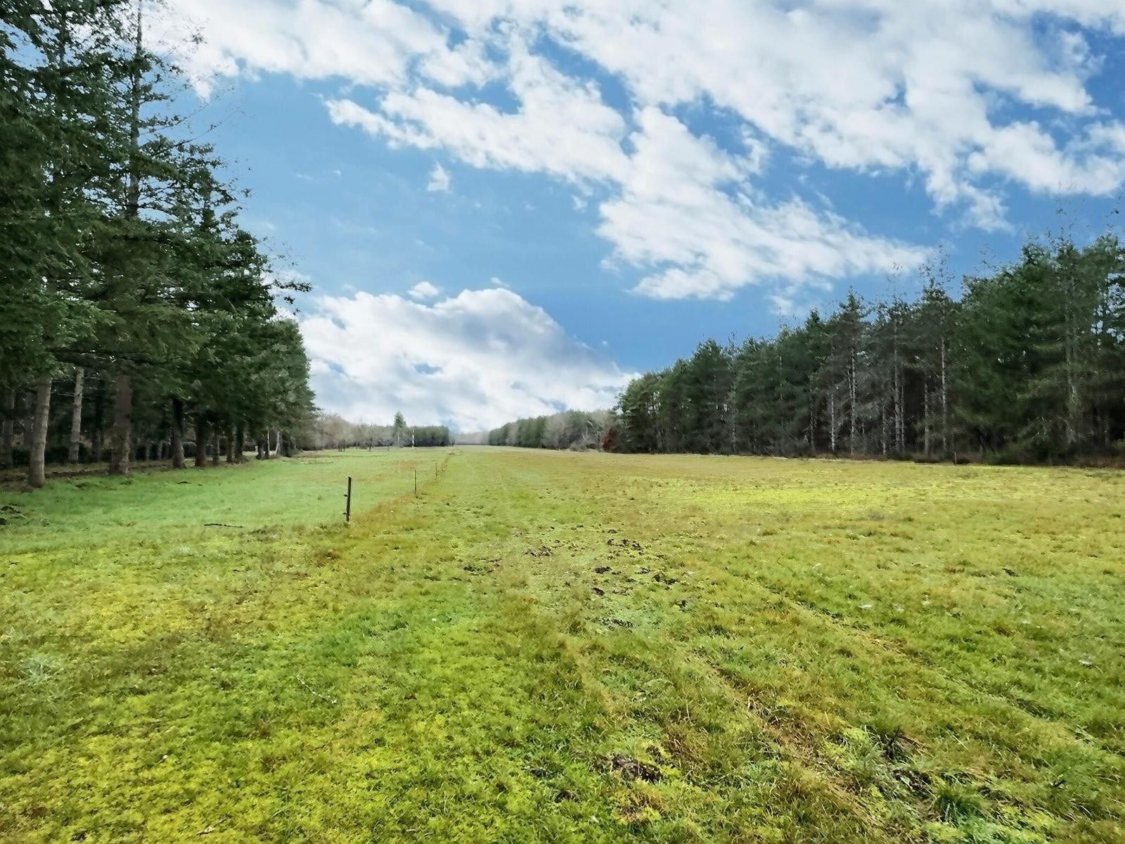 house 7 Rooms for sale on DHUIZON (41220)