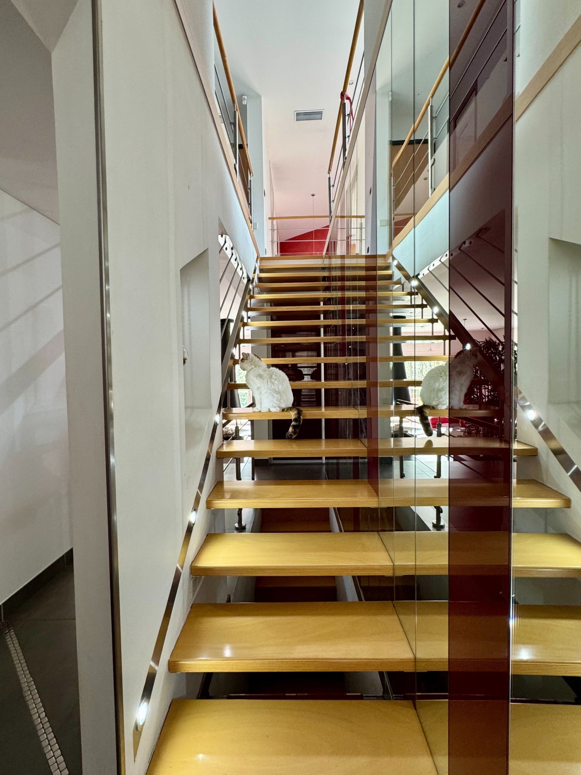 house 7 Rooms for sale on LA CHAPELLE ST MESMIN (45380)