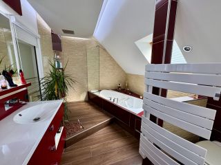 house 7 Rooms for sale on LA CHAPELLE ST MESMIN (45380)