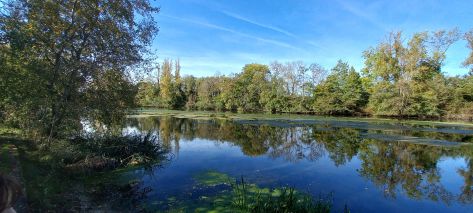 maison 4 Pièces en vente sur ST HILAIRE ST MESMIN (45160)