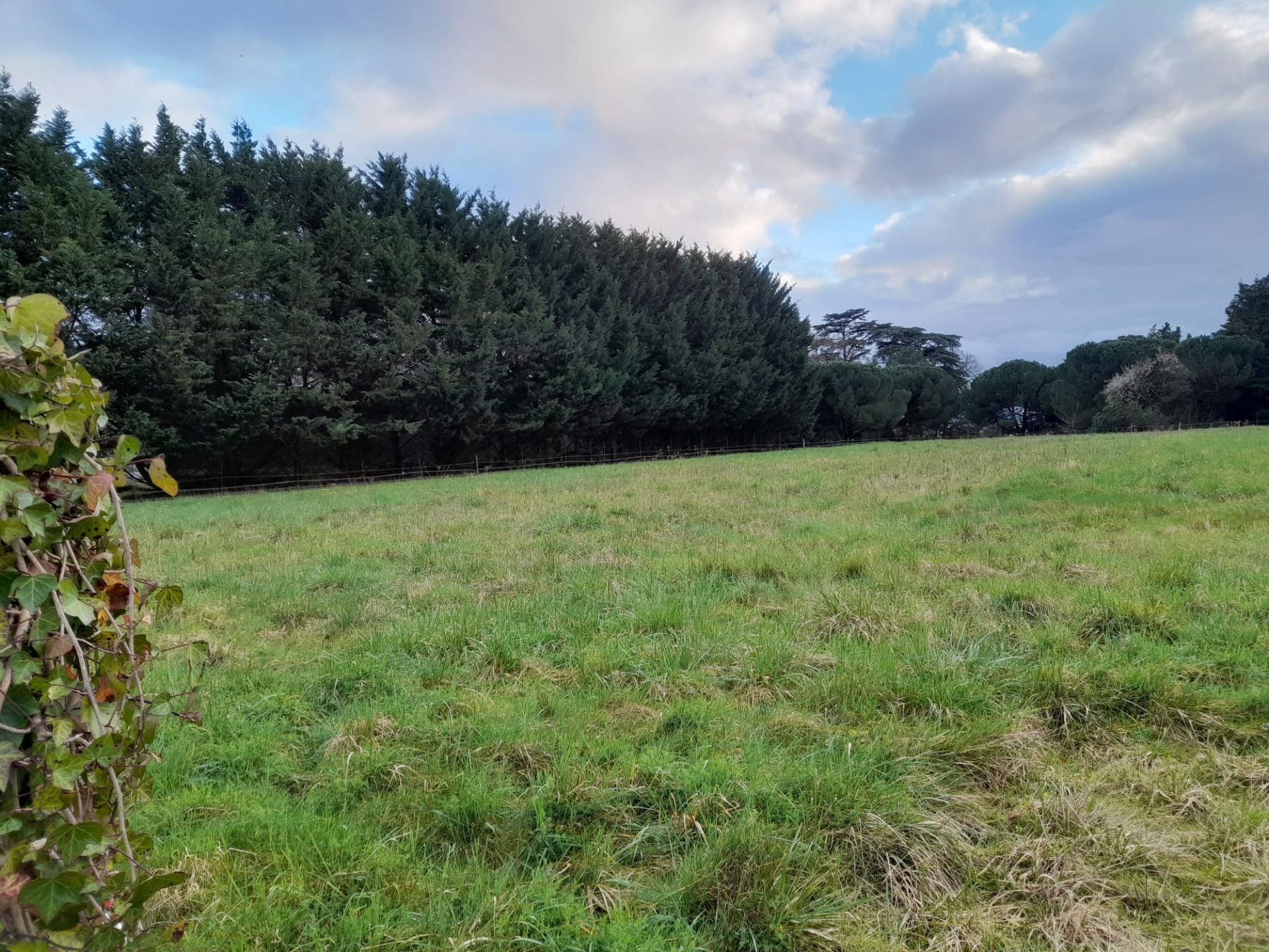 terrain à bâtir en vente sur BLOIS (41000)