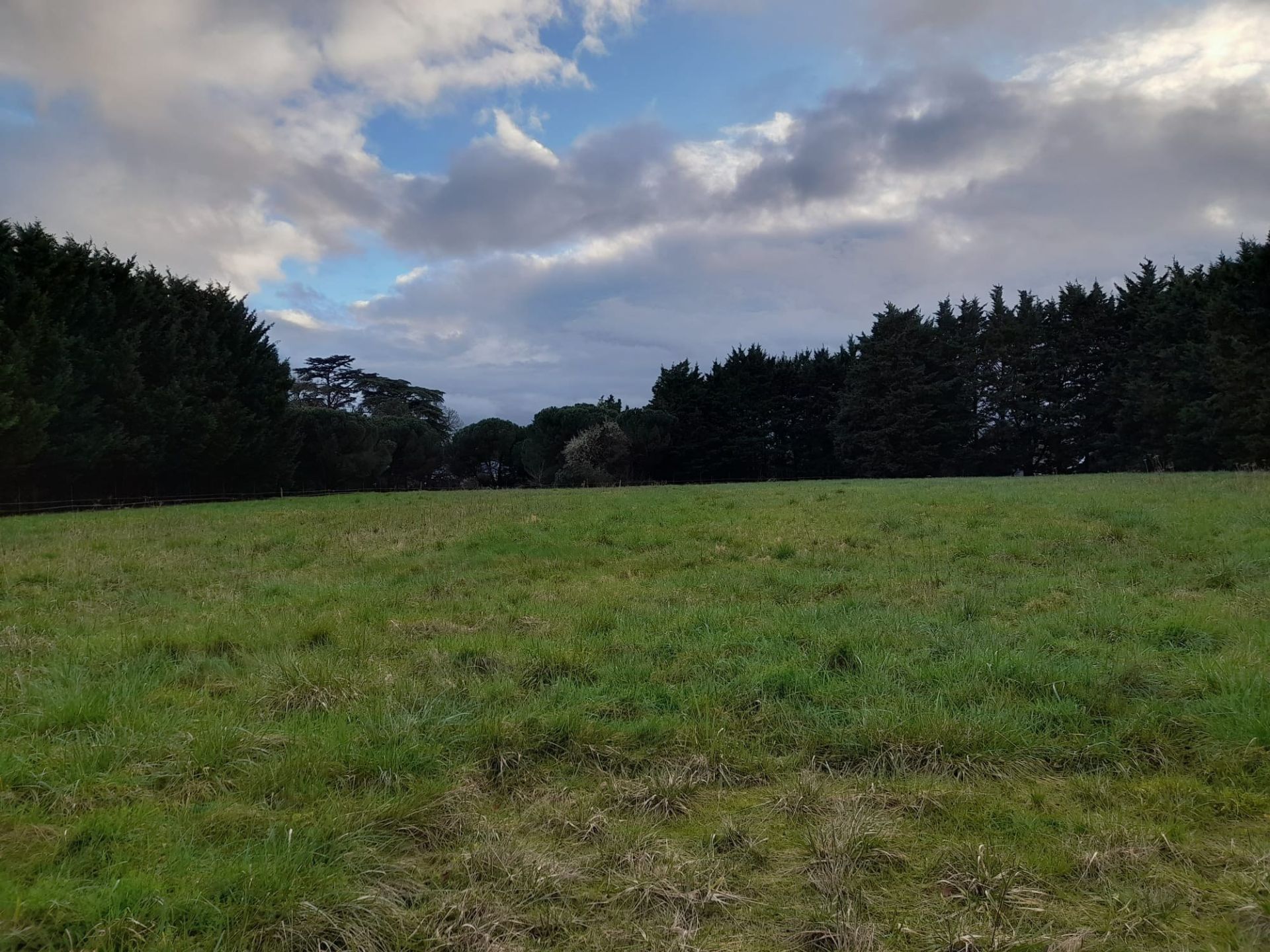 terrain à bâtir en vente sur BLOIS (41000)