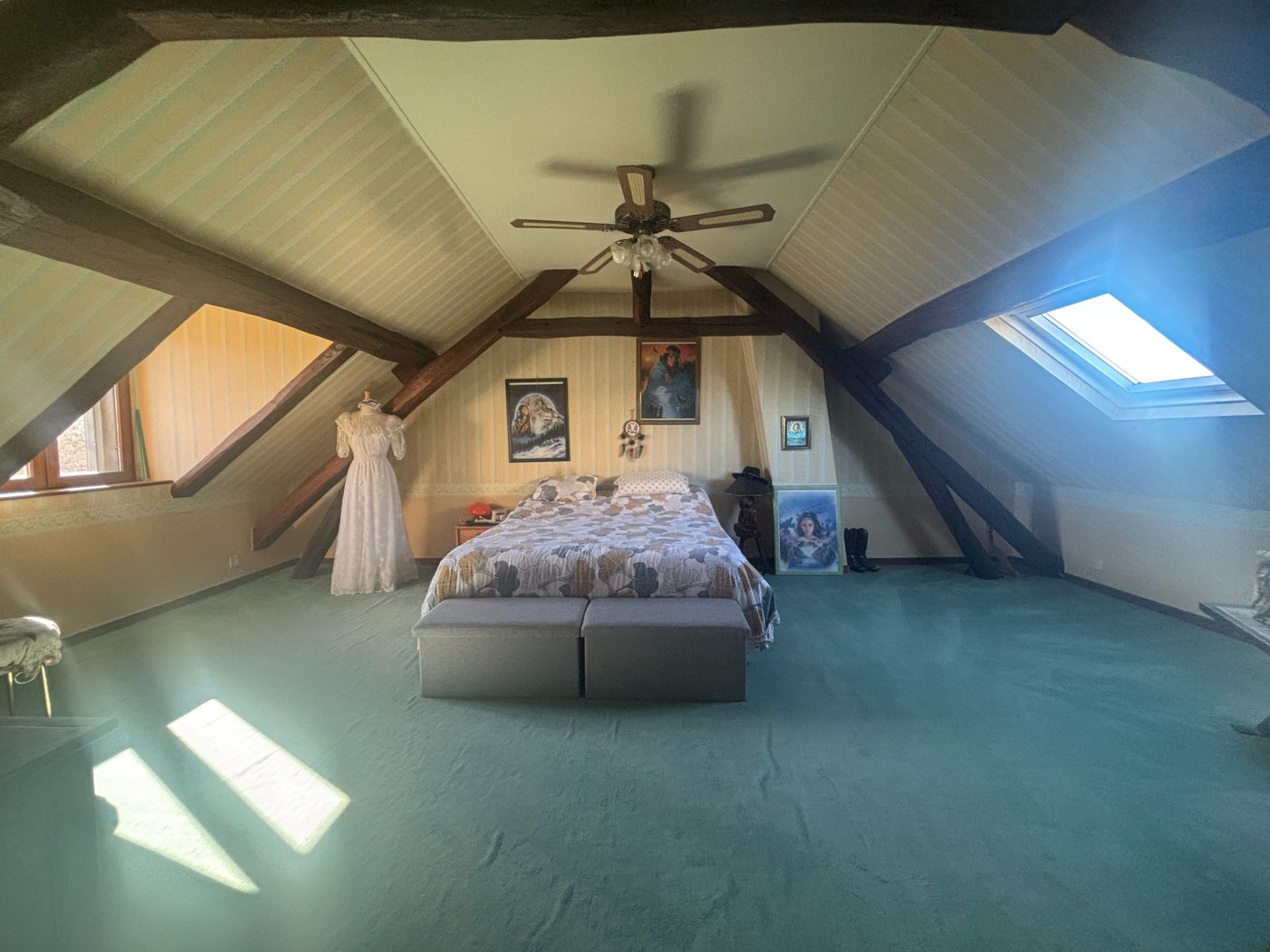 maison 6 Pièces en vente sur BOULAY LES BARRES (45140)