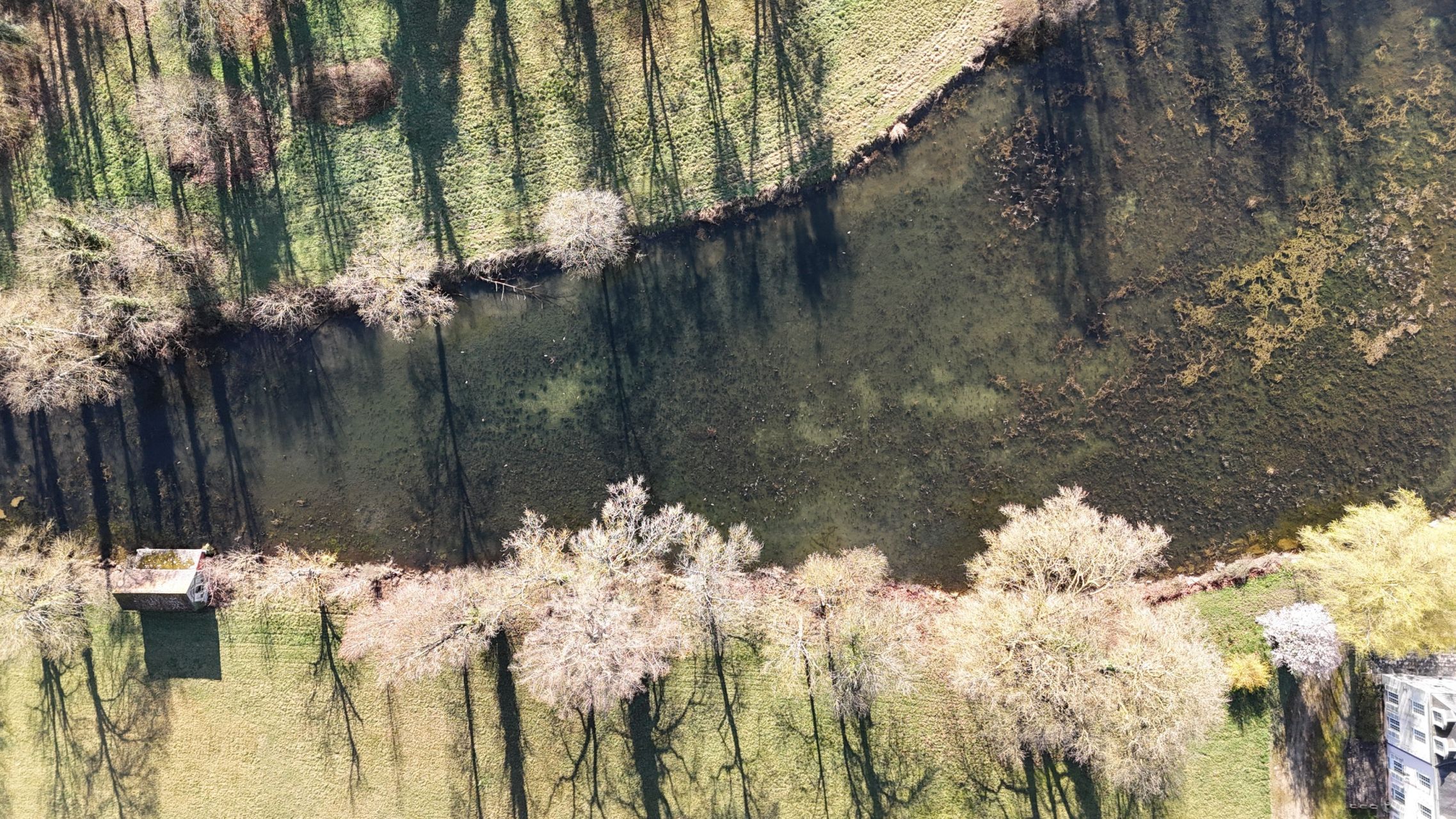 castle 22 Rooms for sale on BACCON (45130)