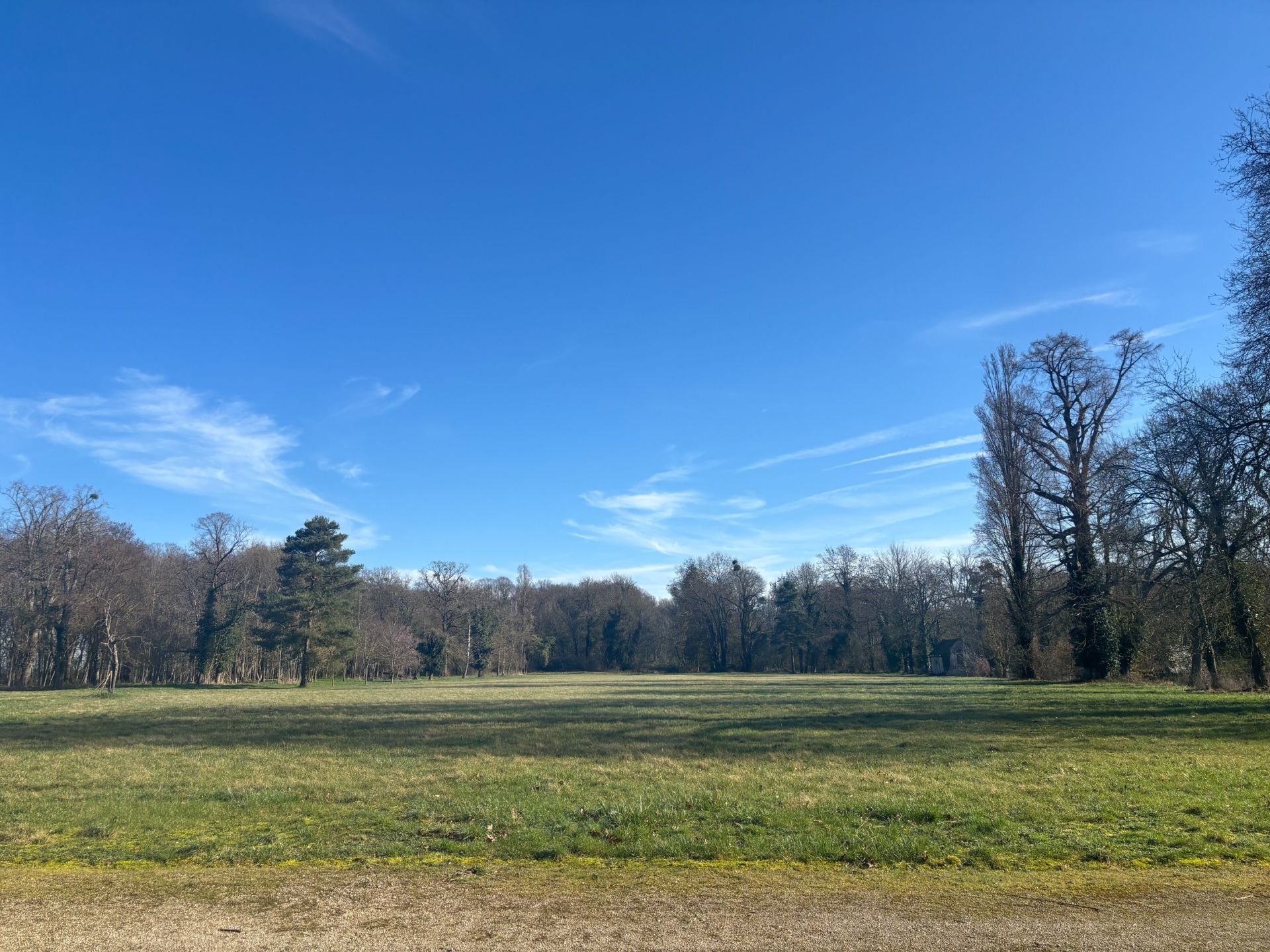 castle 22 Rooms for sale on BACCON (45130)