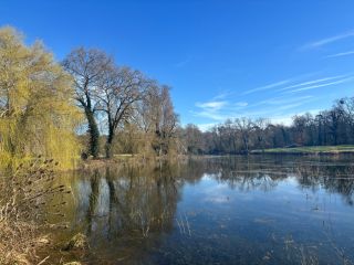 castle 22 Rooms for sale on BACCON (45130)