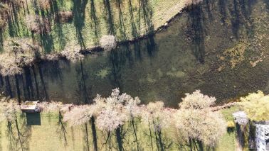 castle 22 Rooms for sale on BACCON (45130)