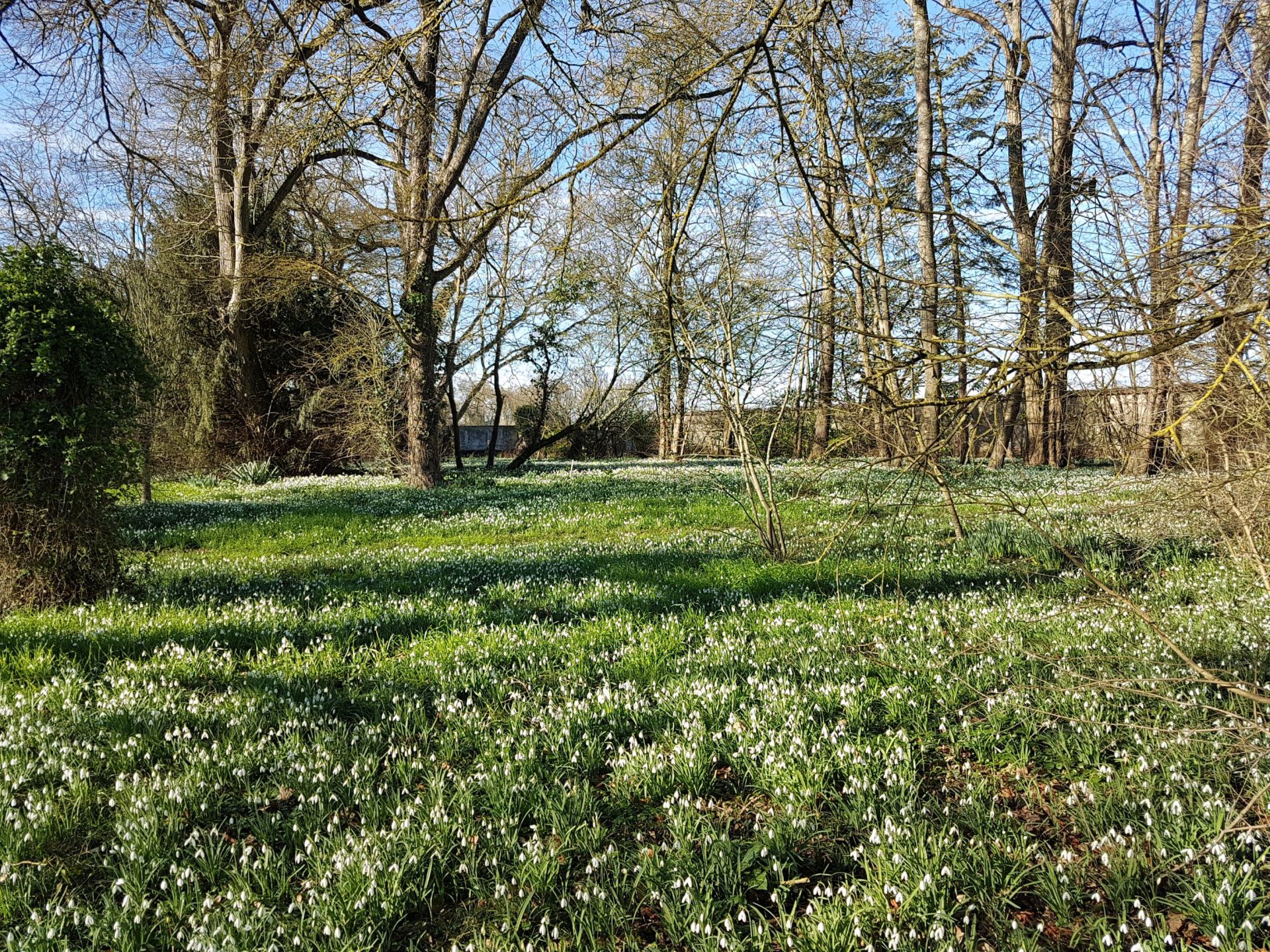 maison 11 Pièces en vente sur CHAINGY (45380)