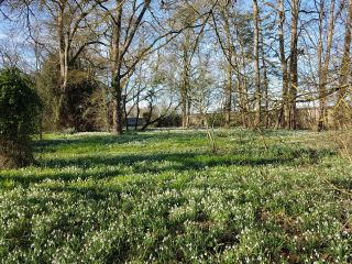 maison 11 Pièces en vente sur CHAINGY (45380)