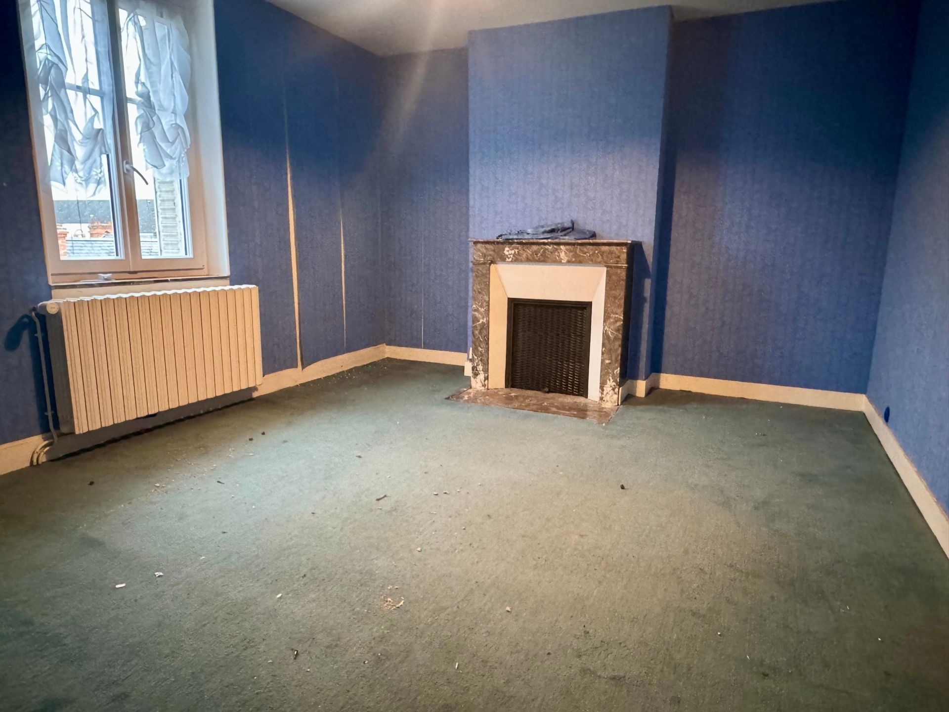 house 10 Rooms for sale on ORLEANS (45000)