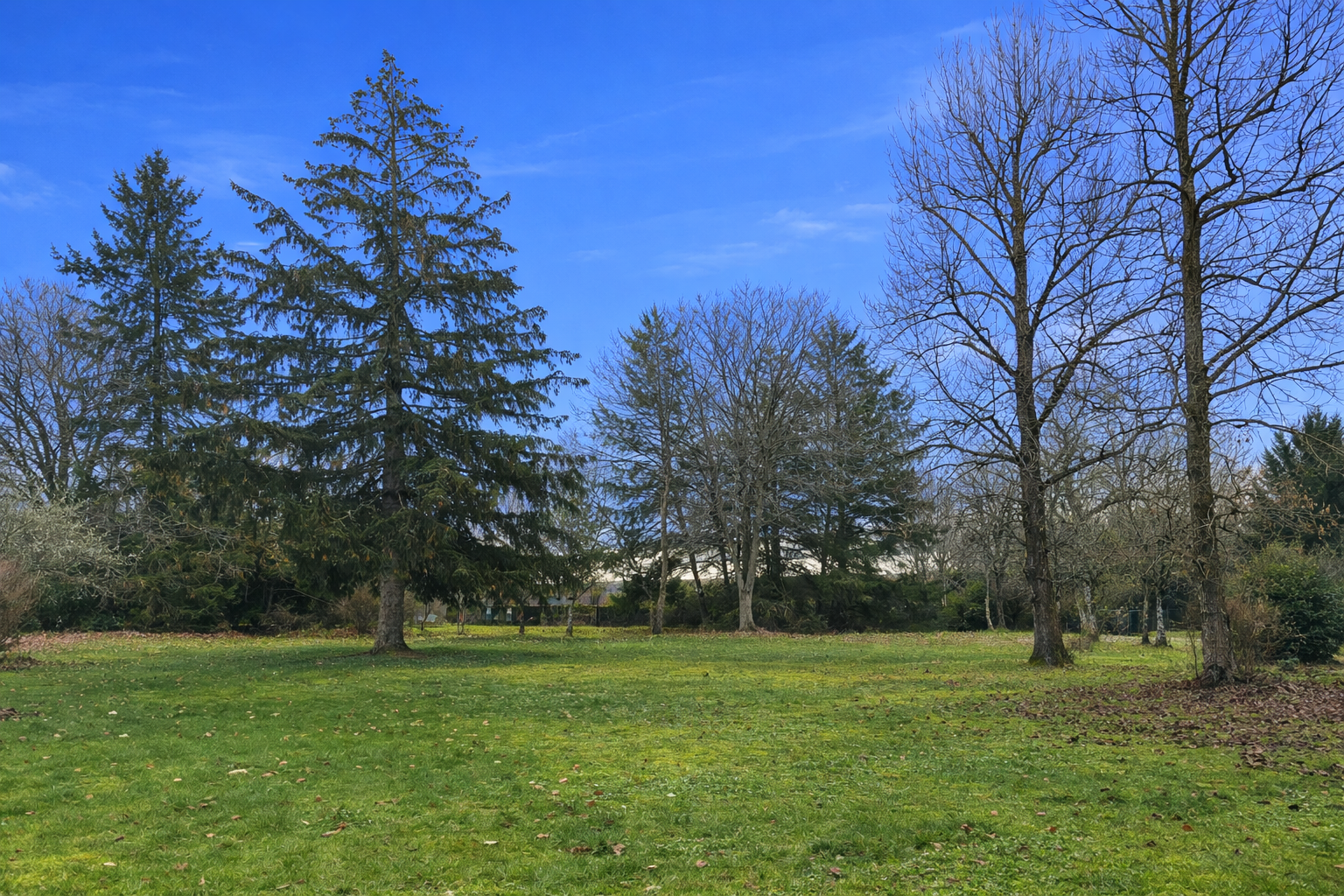 maison 5 Pièces en vente sur CHAUMONT SUR THARONNE (41600)