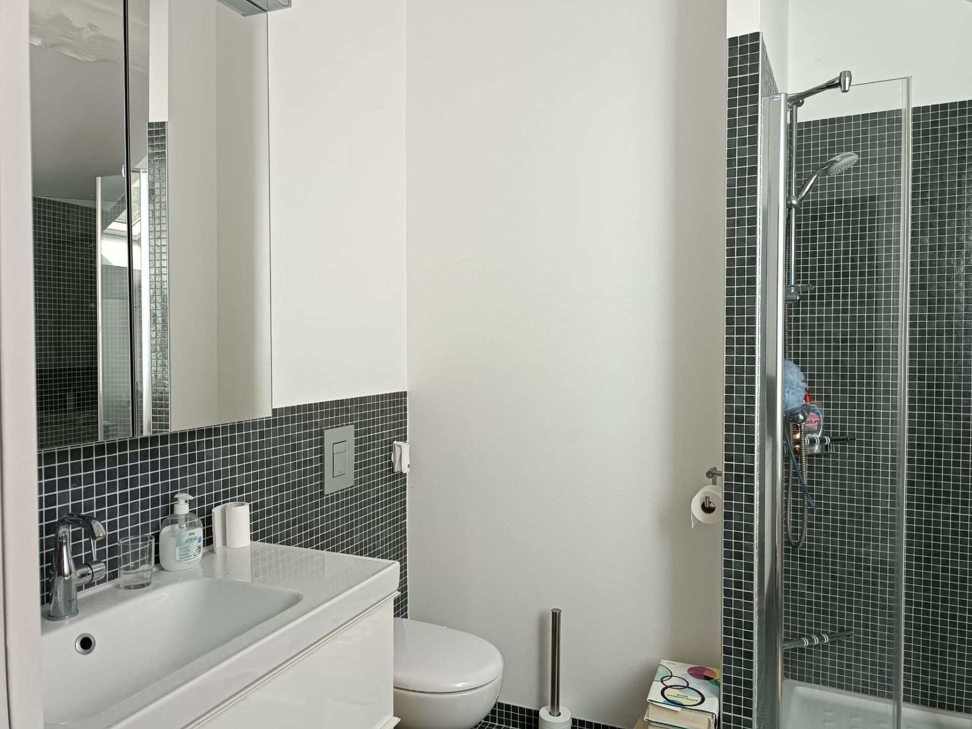 maison 12 Pièces en vente sur BLOIS (41000)