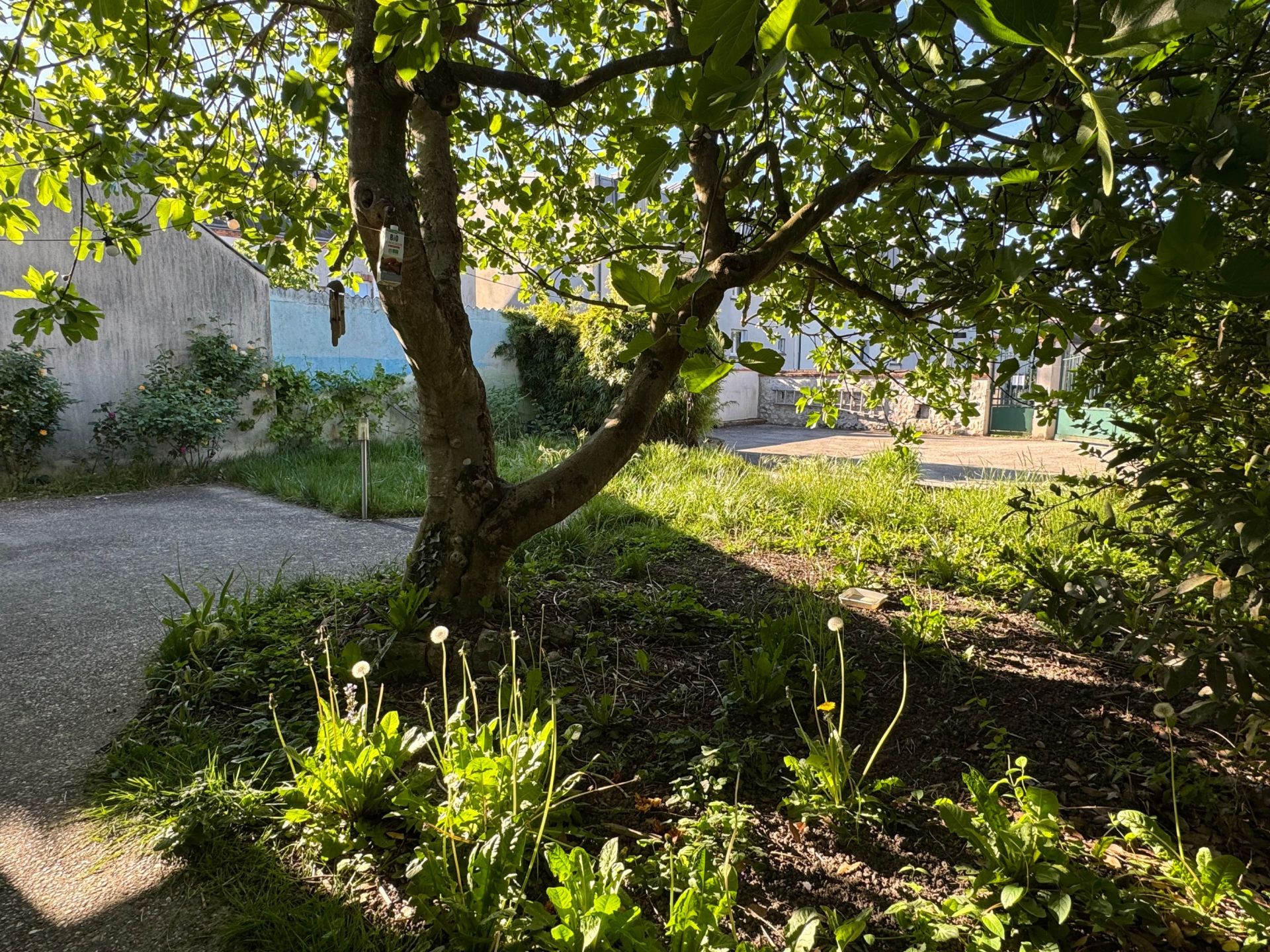 maison 4 Pièces en vente sur ORLEANS (45000)