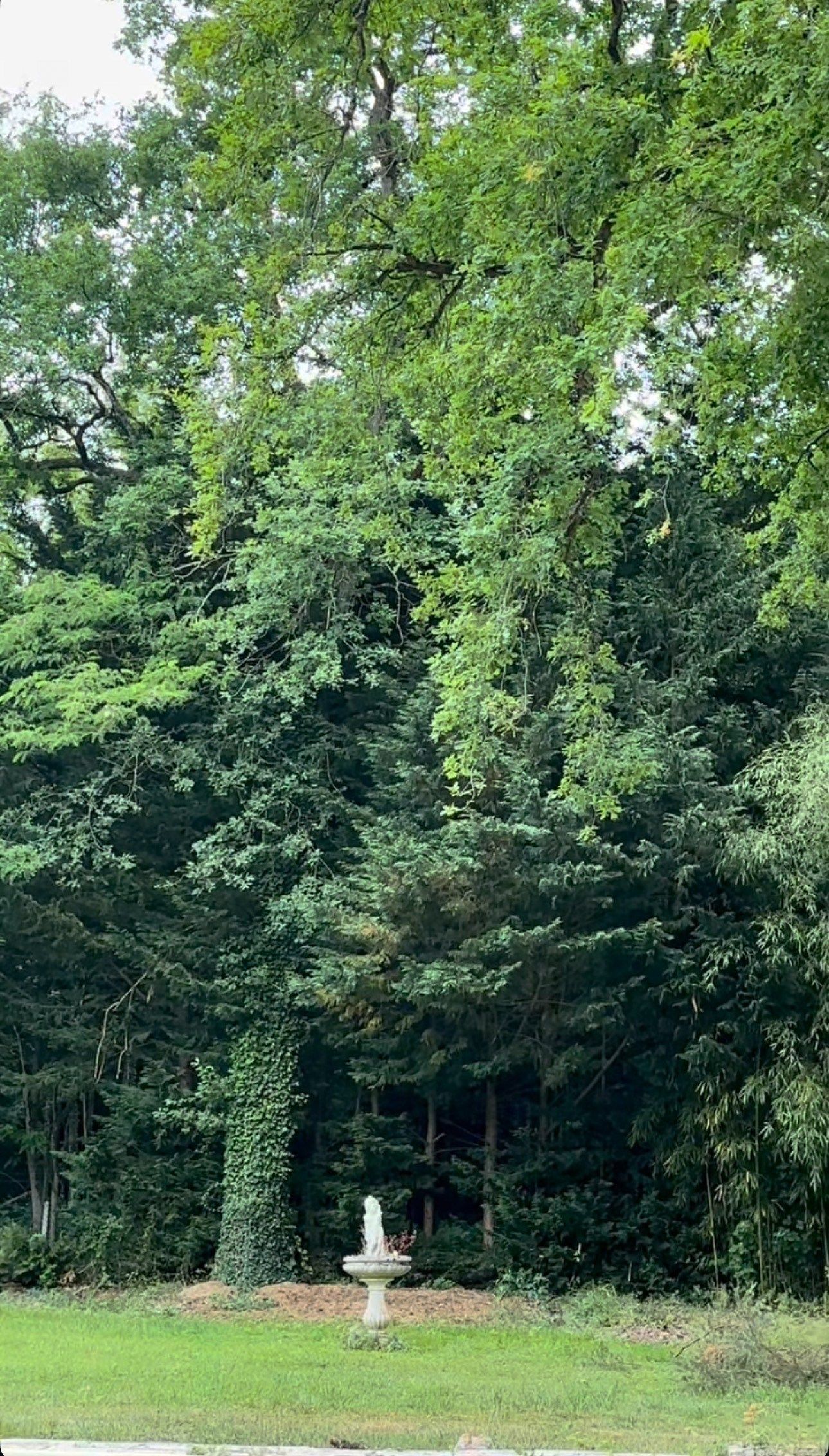 house 5 Rooms for sale on LA SELLE EN HERMOY (45210)