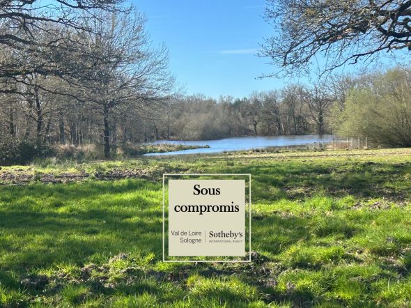 Vente Propriété de chasse La Ferté-Saint-Aubin 6&nbsp;Pièces 300&nbsp;m²