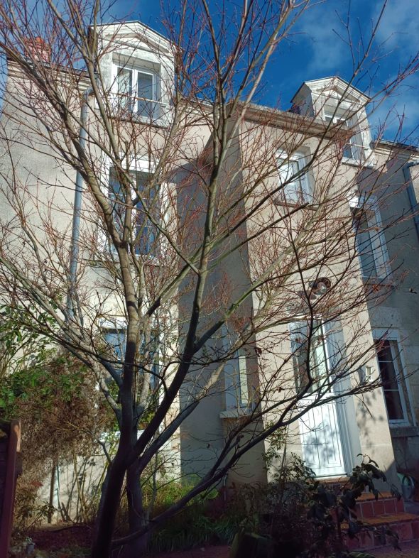 Vente Maison Blois 4&nbsp;Pièces 100&nbsp;m²