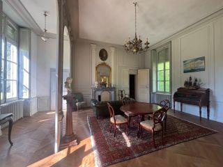 castle 22 Rooms for sale on MEUNG SUR LOIRE (45130)