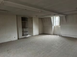maison 20 Pièces en vente sur ORLEANS (45000)